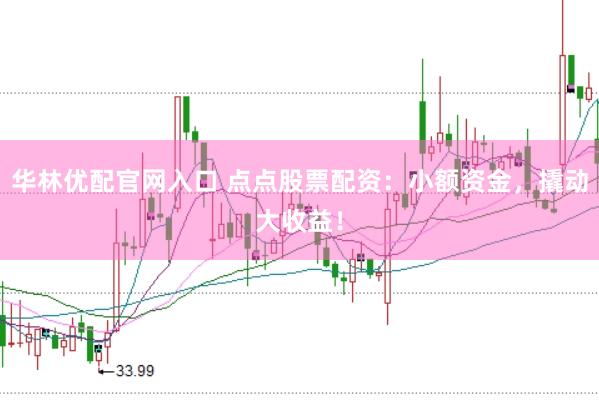 华林优配官网入口 点点股票配资：小额资金，撬动大收益！
