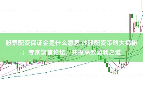 股票配资保证金是什么意思 炒股配资策略大揭秘：专家聚首论坛，共探高效盈利之道