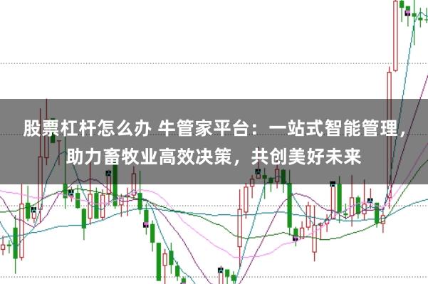 股票杠杆怎么办 牛管家平台：一站式智能管理，助力畜牧业高效决策，共创美好未来