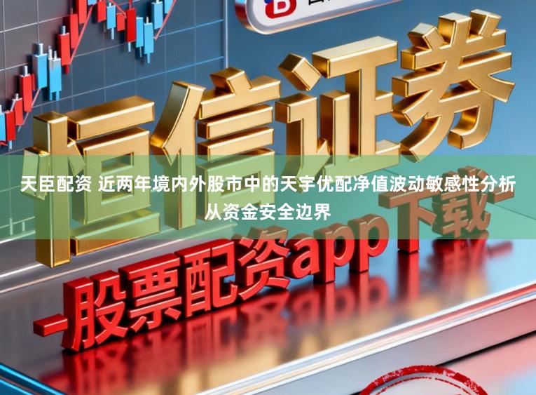 天臣配资 近两年境内外股市中的天宇优配净值波动敏感性分析从资金安全边界