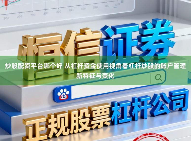 炒股配资平台哪个好 从杠杆资金使用视角看杠杆炒股的账户管理新特征与变化